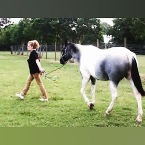 Meet your Posher, Sherry